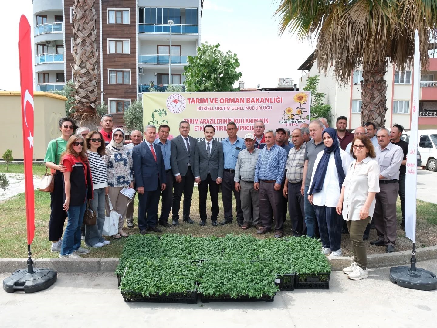 buharkent-te-38-bin-domates-fidesi-dagitildi
