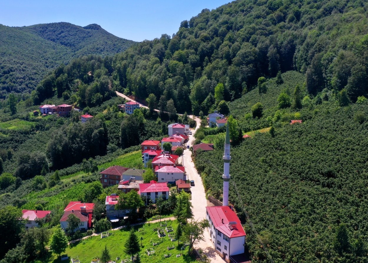 ordu-nun-kirsalinda-beton-yol-calismalari
