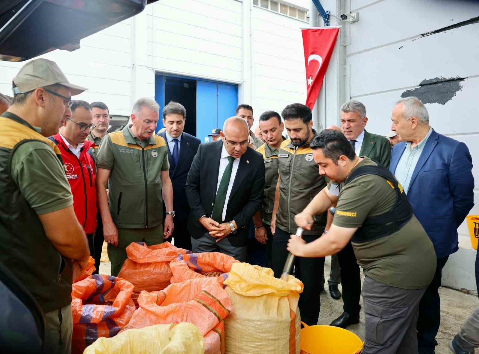 tmo-giresun-da-findik-alimina-basladi