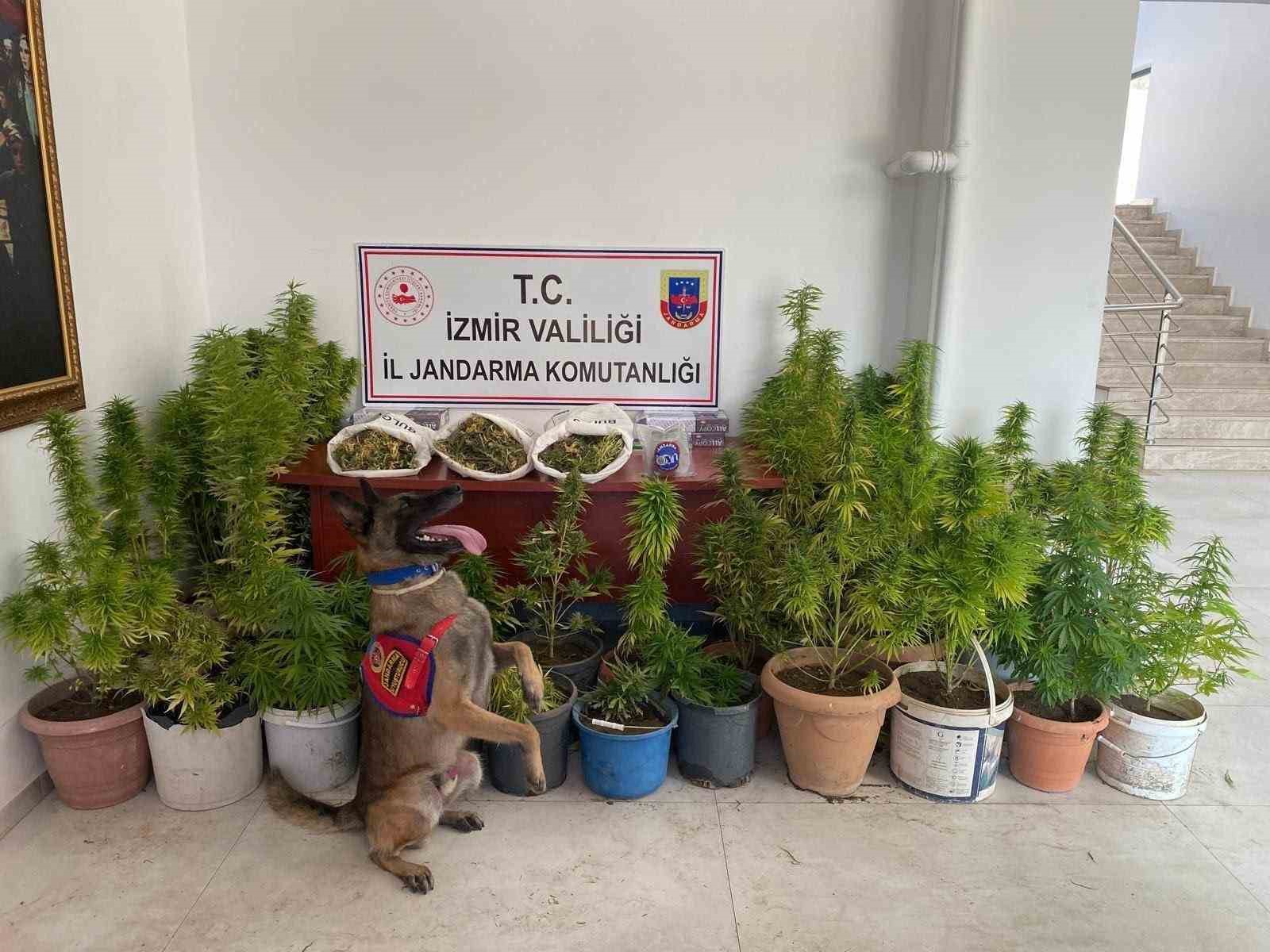 izmir-de-uyusturucu-operasyonu-3-tutuklama