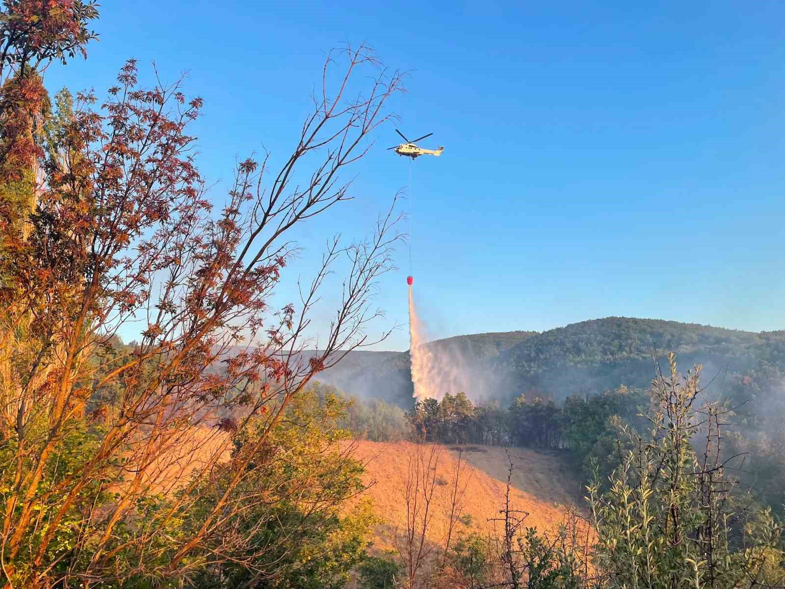 tekirdag-daki-orman-yangininda-90-dekarlik-alan-zarar-gordu