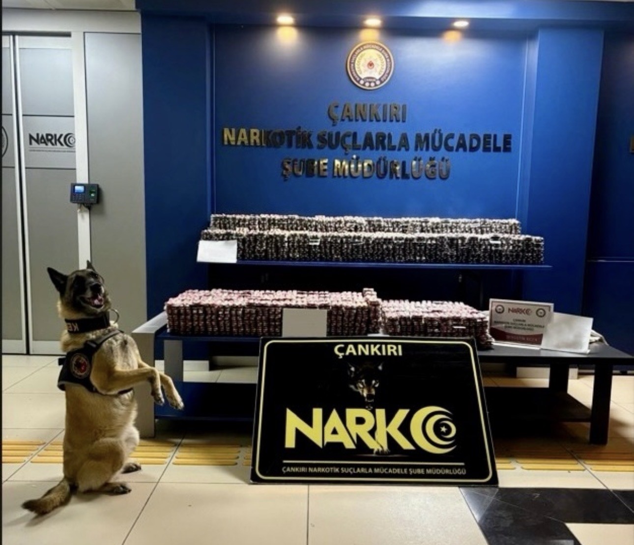 cankiri-da-uyusturucu-operasyonu-85-bin-adet-hap-ele-gecirildi
