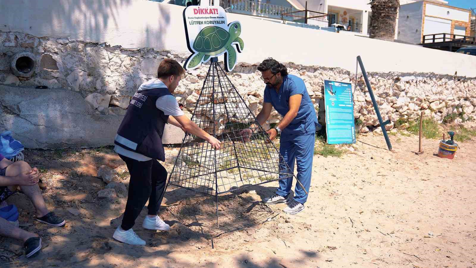 didim-belediyesi-deniz-kaplumbagalarinin-yuvalama-alanlarini-koruma-altina-aldi
