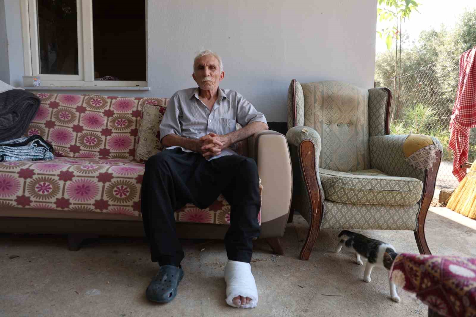 yasli-adama-carpip-hicbir-sey-olmamis-gibi-yoluna-devam-etti
