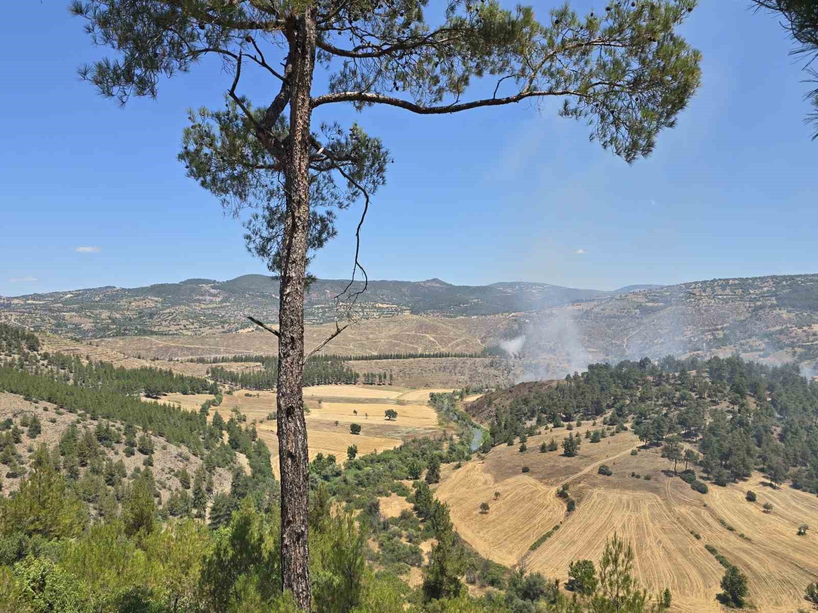 dursunbey-de-orman-yangini