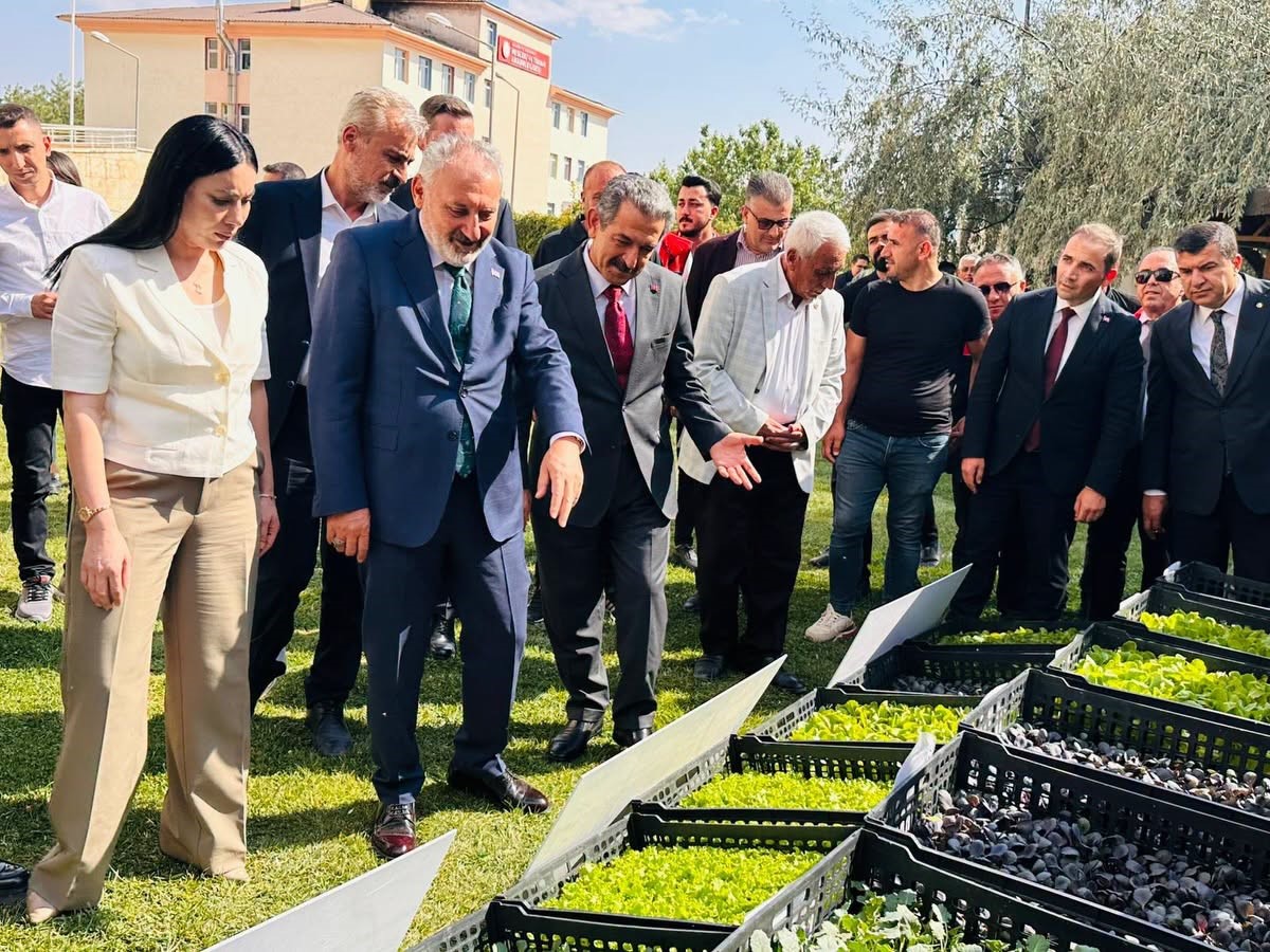 sirnak-ta-ureticilere-152-bin-sebze-fidesi-ve-coban-cantasi-dagitildi