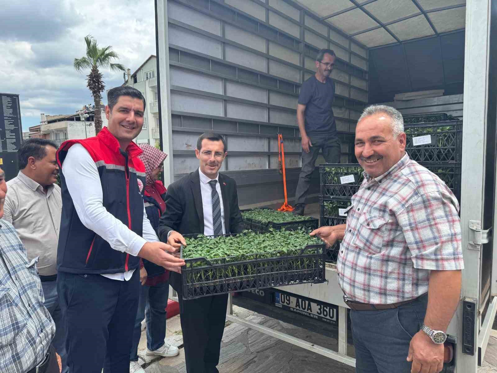 bozdogan-da-ureticilere-14-bin-domates-fidesi-dagitildi