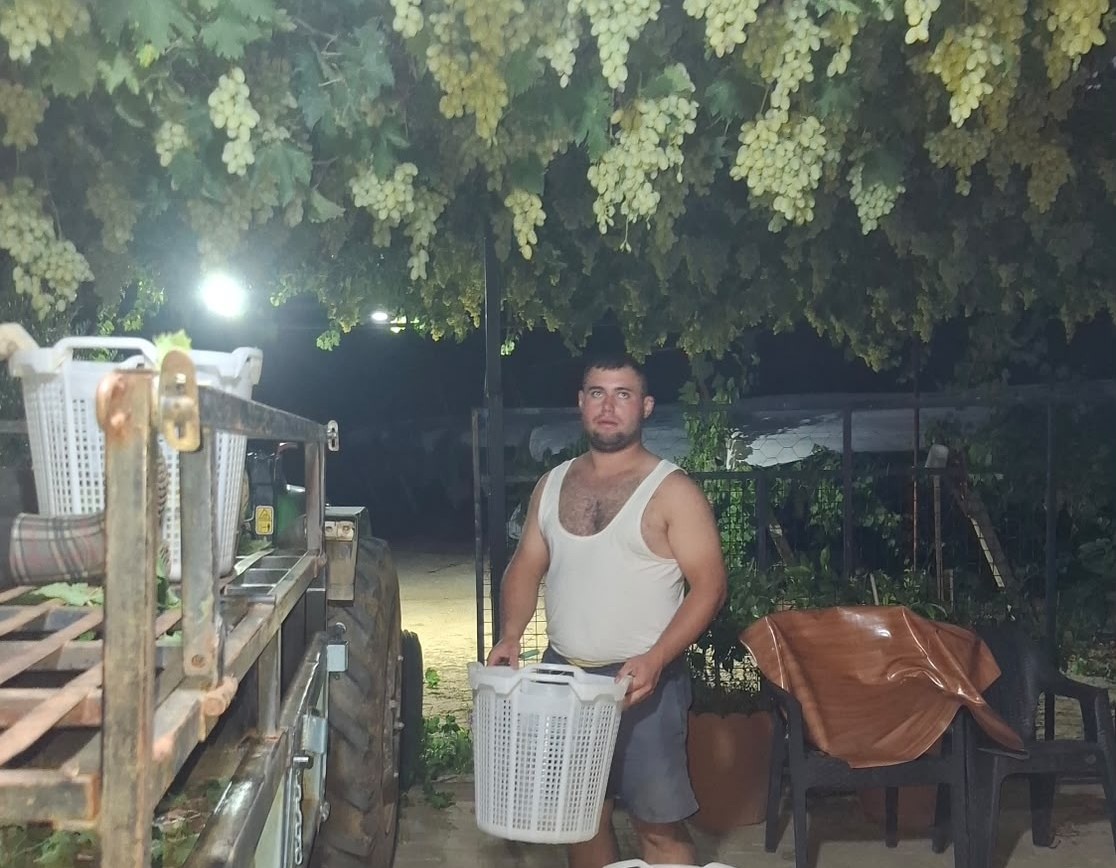 sarigol-de-uzum-icin-gece-mesaisi