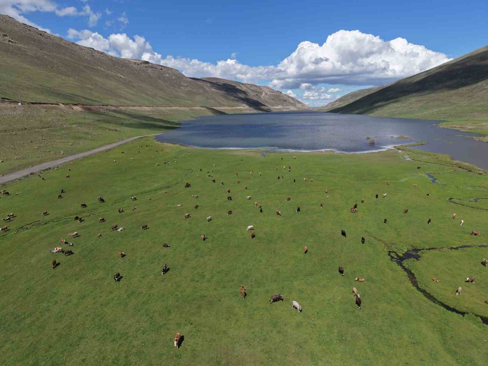igdir-in-50-yillik-ruyasi-havadan-goruntulendi