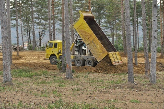 Abana Kent Ormanında Çalışmalar Sürüyor