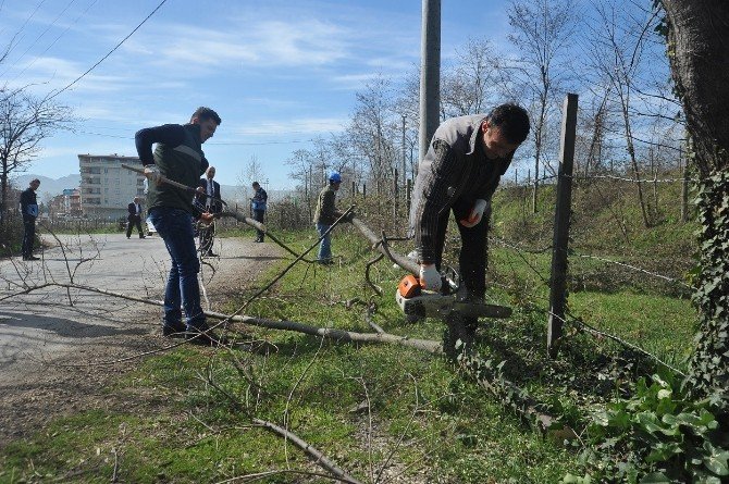 Yol Kenarlarına Temizlik