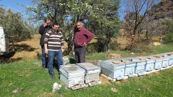 Burhaniye’de Engelli Adil Örnek Arıcı Oldu