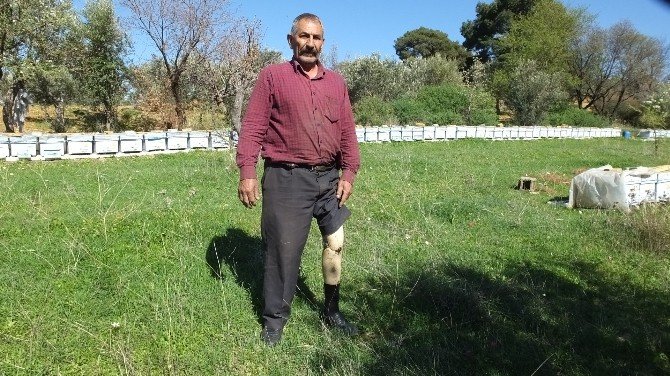 Burhaniye’de Engelli Adil Örnek Arıcı Oldu