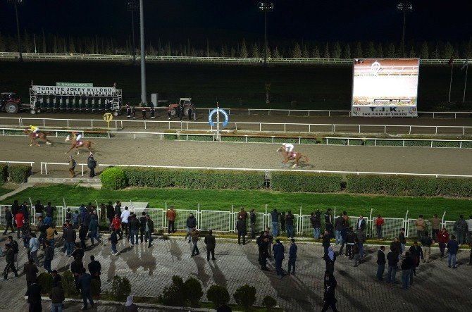 Atlar Veterinerlik Fakültesi İçin Koştu