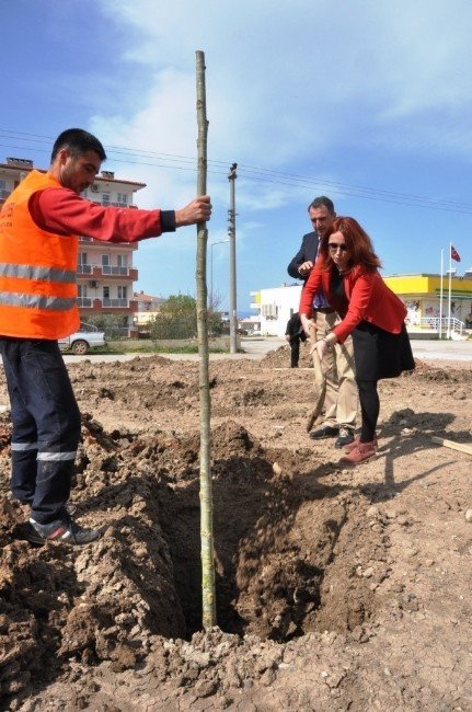Barış Heykeli Açıldı, Barış İçin Fidan Dikildi