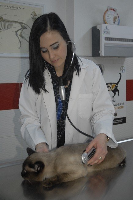 Kadın Gözünden ‘Veteriner Hekimliği’