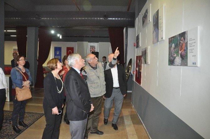 Kırsalda Kadın Fotoğrafları Bursa Göç Tarihi Müzesi’nde