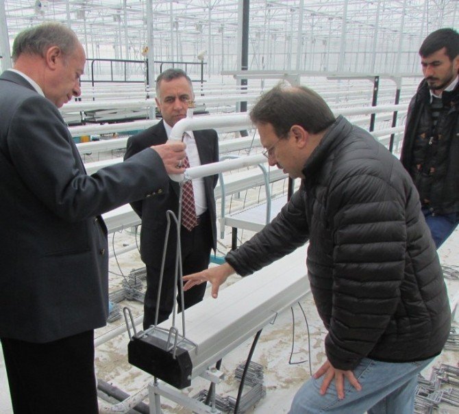 Eskişehir’in İlk Jeotermal Kaynaklı Modern Serası Faaliyete Geçiyor