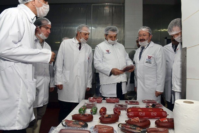 Bakan Çelik, Esk Sincan Kombina Müdürlüğü’nü Ziyaret Etti