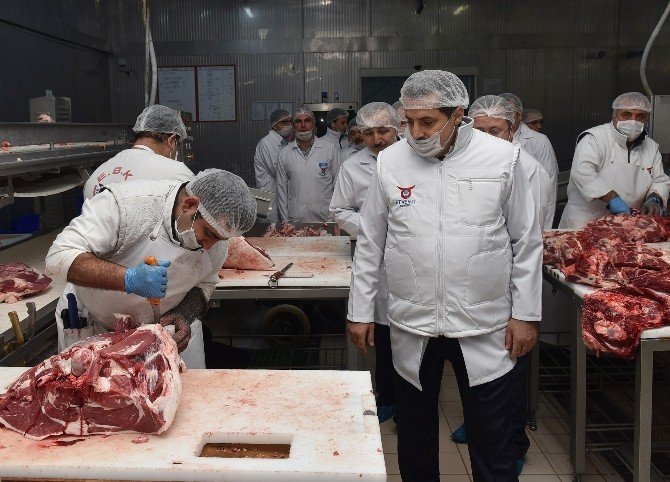 Bakan Çelik, Esk Sincan Kombina Müdürlüğü’nü Ziyaret Etti