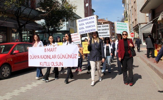 Bozkurtlu Kadınlar Şiddete Karşı Yürüdü