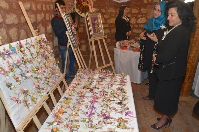 İpek Kozası Ürünleri Sergisi Açıldı