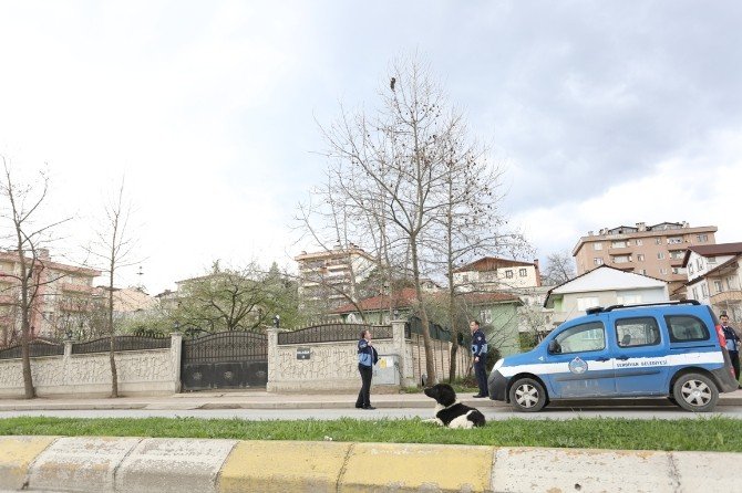 Serdivan Belediyesi Zabıta Ekiplerinden Kurtarma Operasyonu