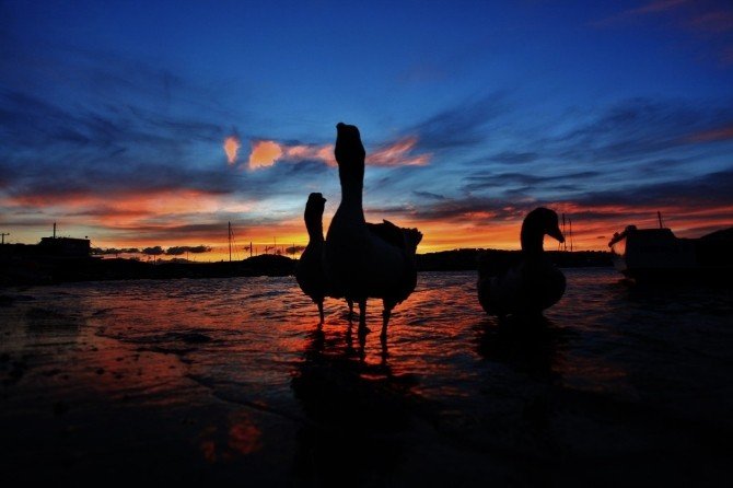 Bodrum’da Günbatımı Renkleri Büyülüyor