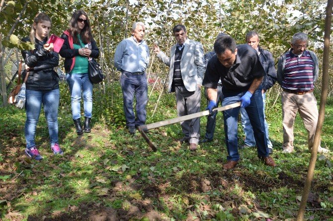 Yılmaz: "Gübre Zamanında Ve Dozunda Kullanılmalı"