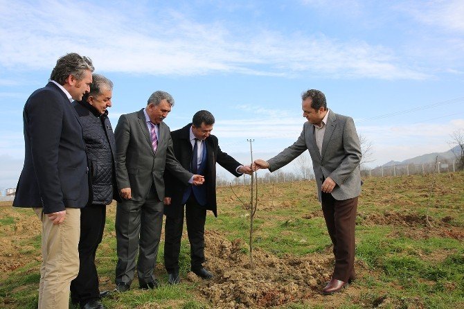 Odü, Araştırma Ve Uygulama Arazisine Kavuştu