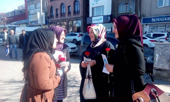 Ülkü Ocakları Bayanlar Birimi 8 Mart Dünya Kadınlar Gününü Karanfillerle Kutladı