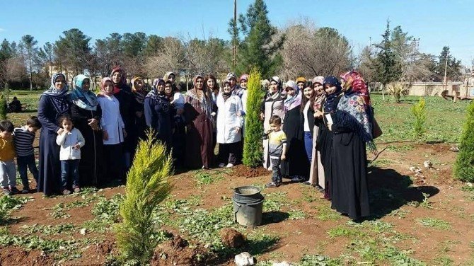 Viranşehirli Kadınlar Okul Bahçesine Ağaç Dikti