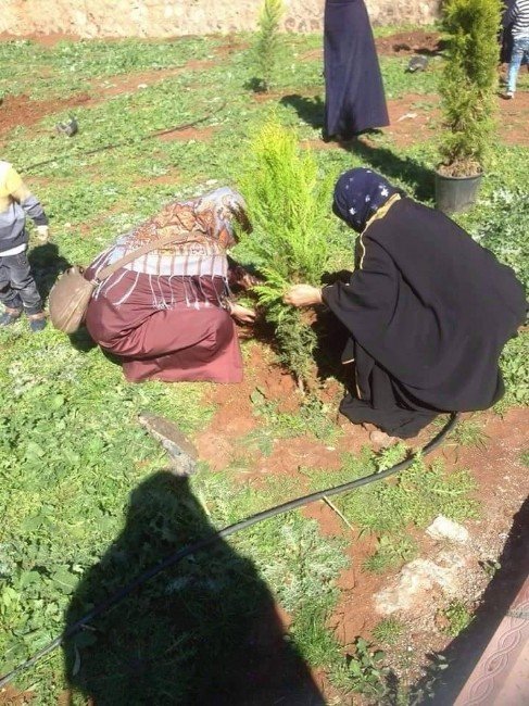 Viranşehirli Kadınlar Okul Bahçesine Ağaç Dikti