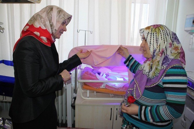 ’Hoşgeldin Minik Hemşerim’ Projesi