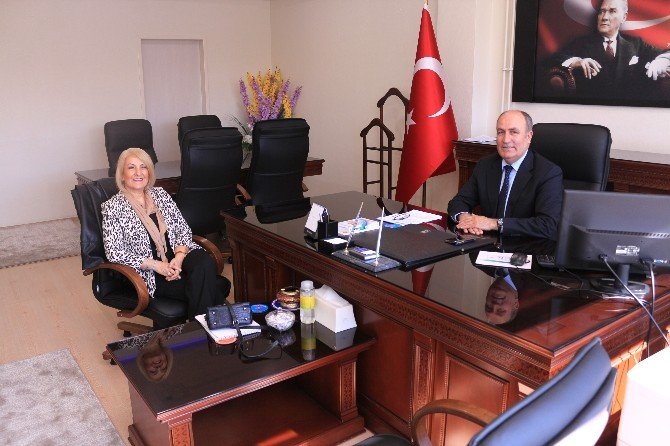 Silikozis Hastalarının Çilesi Bitmiyor