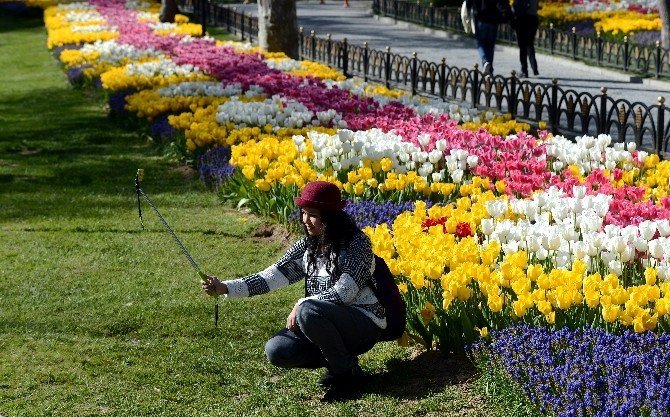 İstanbul Laleleriyle Buluştu