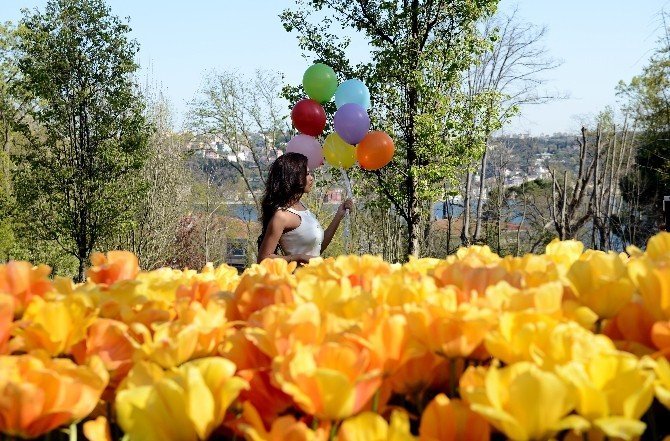 İstanbul Laleleriyle Buluştu