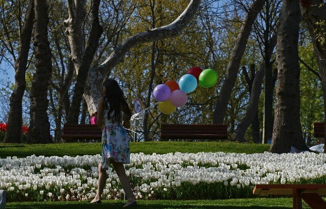 İstanbul Laleleriyle Buluştu