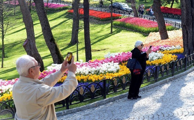 İstanbul Laleleriyle Buluştu