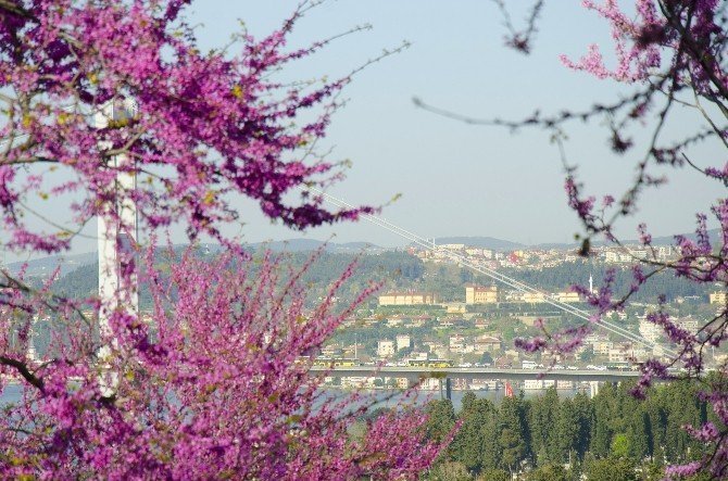 İstanbul'da Seyrine Doyulmaz Manzara