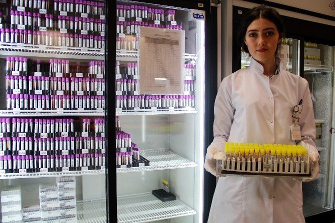 Türkiye Kök Hücrede Liderliğe Yükseldi