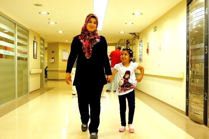 Türkiye Kök Hücrede Liderliğe Yükseldi