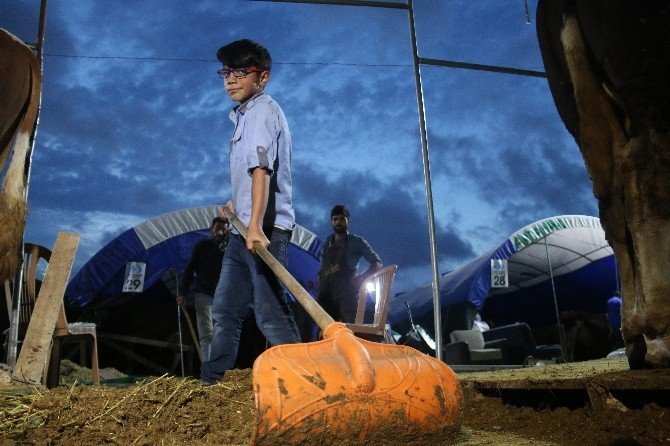 Besiciler 24 Saat Nöbet Tutuyor