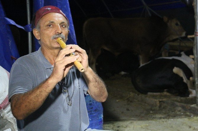 Besiciler 24 Saat Nöbet Tutuyor