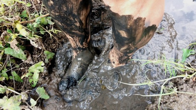 Bu Çamur Ve Suya Girenler Güzelleşiyor