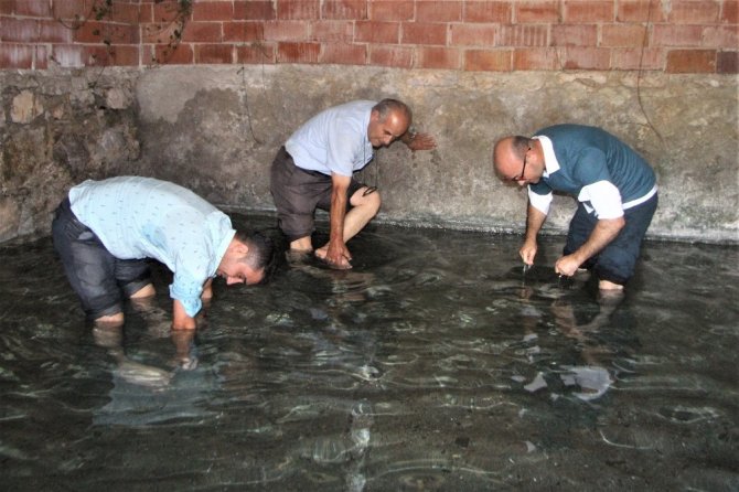 Bu Çamur Ve Suya Girenler Güzelleşiyor