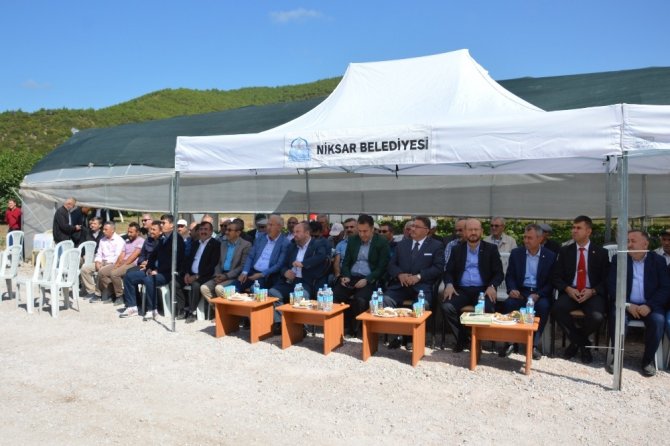 Niksar’da Ceviz Hasadı Etkinliği