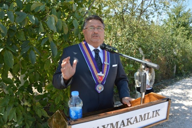 Niksar’da Ceviz Hasadı Etkinliği