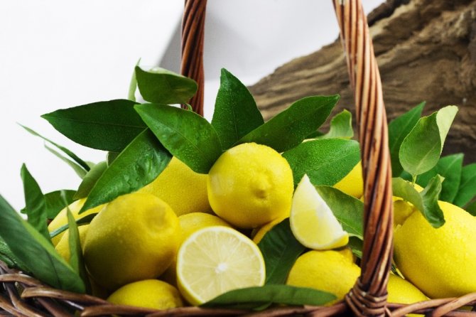 Ege Bölgesi Narenciye Rekoltesi 428 Bin Ton