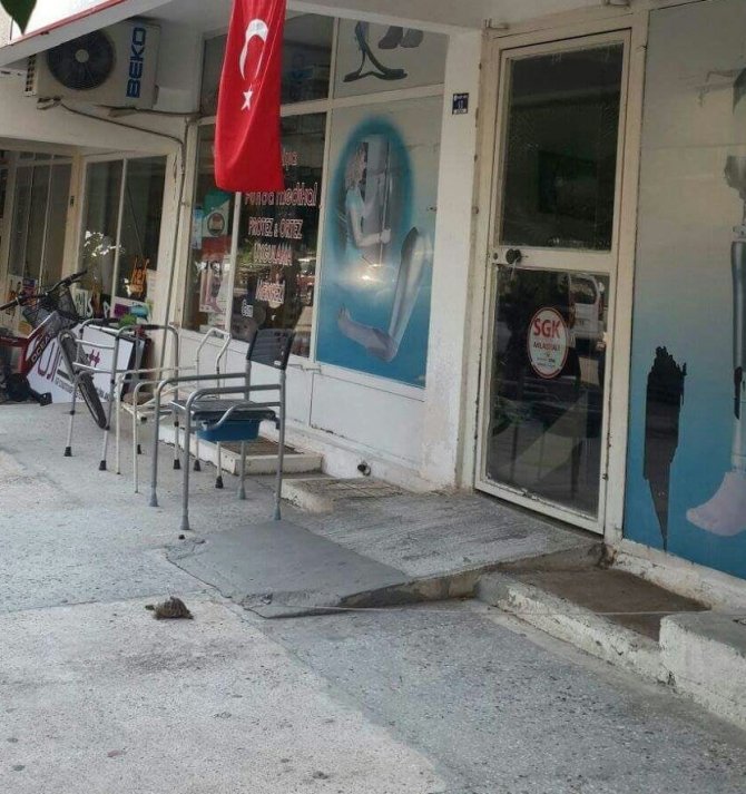 Kaplumbağanın Kabuğundan İple Bağlanması Tepki Çekti